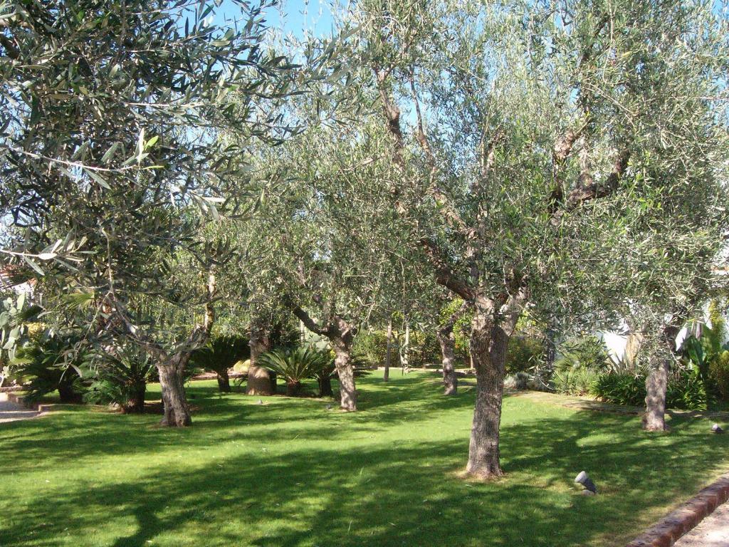 Il Giardino Del Te Hotell Barletta Eksteriør bilde
