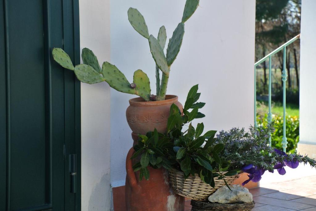 Il Giardino Del Te Hotell Barletta Rom bilde