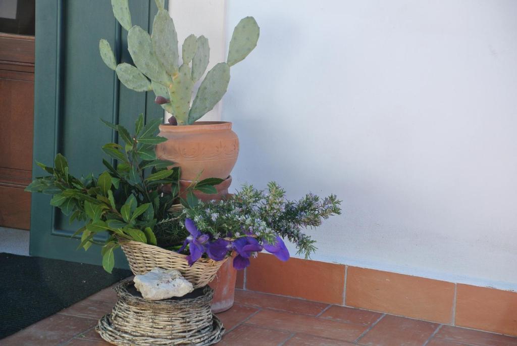 Il Giardino Del Te Hotell Barletta Eksteriør bilde
